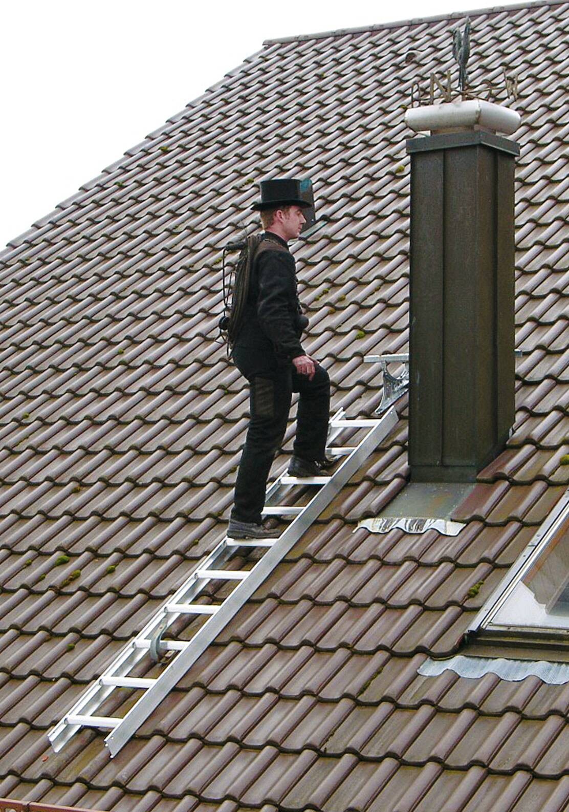 Dachleiter Alu 10 Sprossen